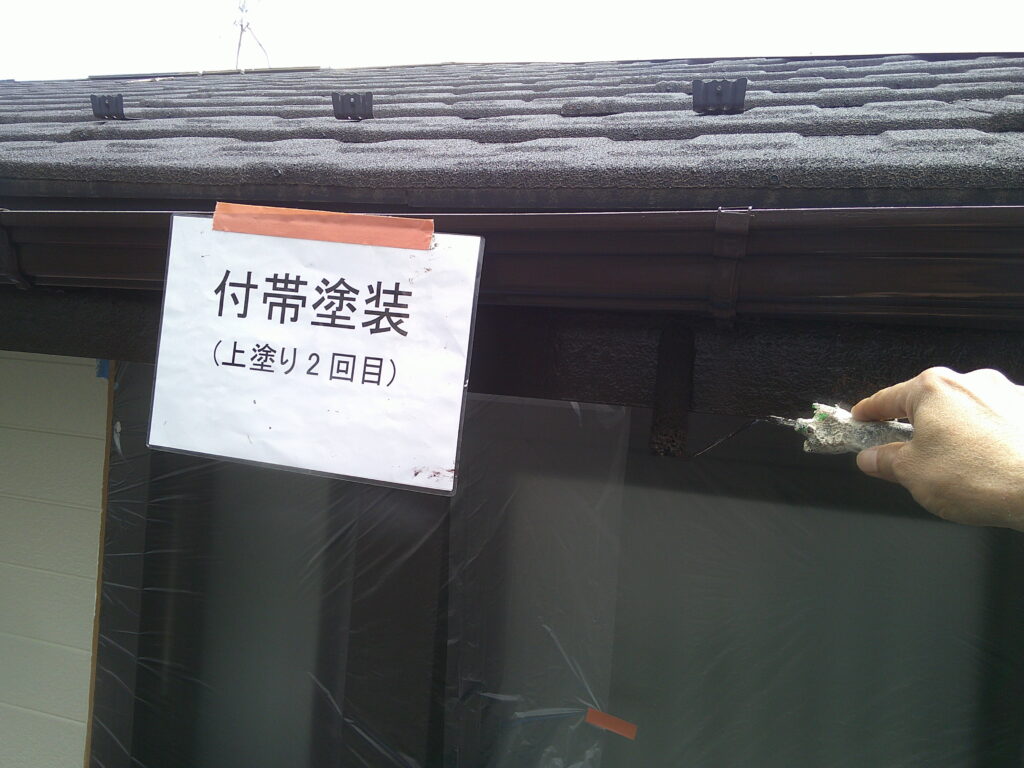 ファインパーフェクトトップ2回目の様子(255チョコレート)