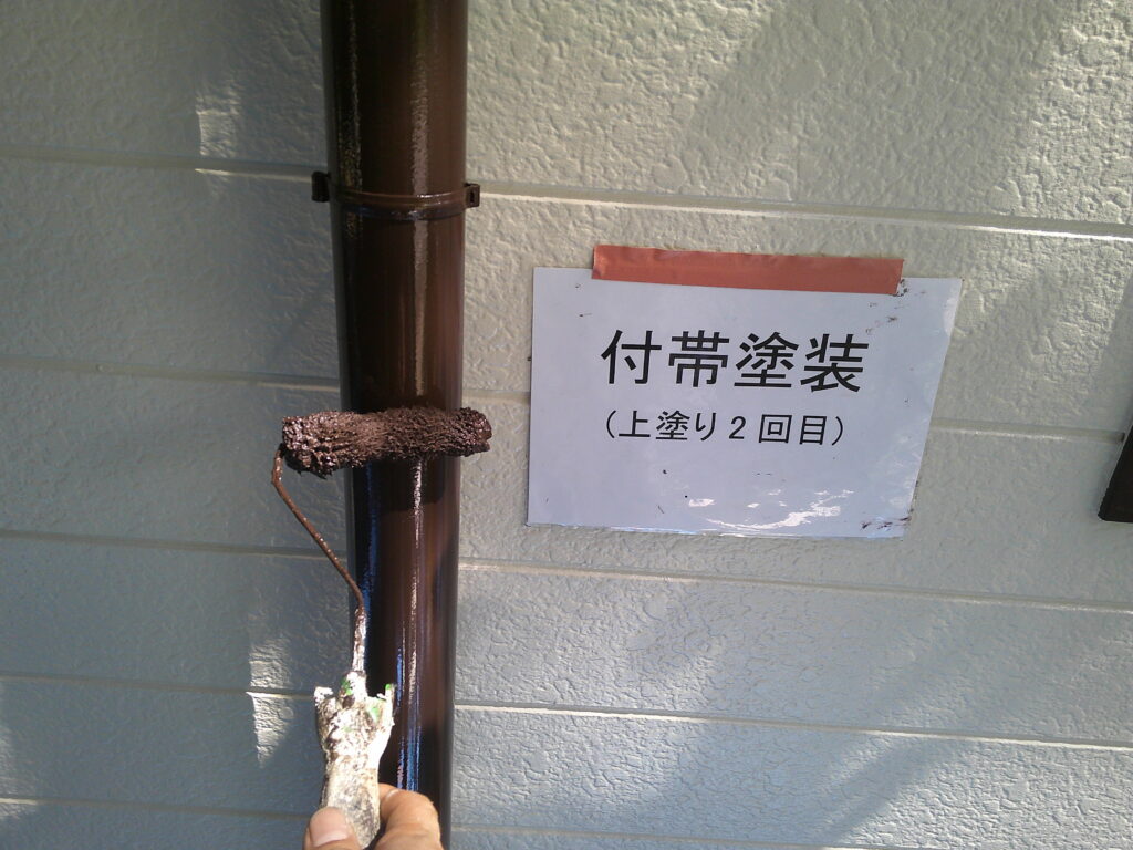 ファインパーフェクトトップ2回目の様子(255チョコレート)