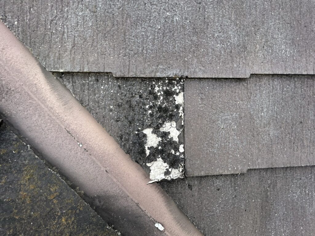 屋根材の一部が腐食しています。<br />
ボソボソの状態になっていて、カビも生えています。こういうのが雨漏りの原因になります。